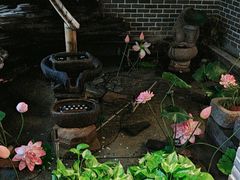 -凤竹园(修水店)
