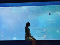-重庆欢乐海底世界