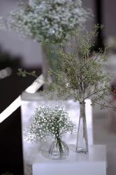 -深圳香格里拉大酒店·宴会厅