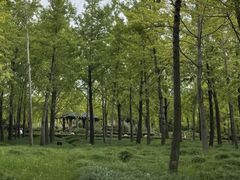 -黄兴公园