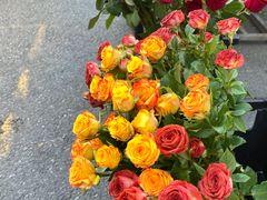 -循礼门鲜花花市(武汉循礼门店)