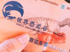 -世界恐龙谷景区