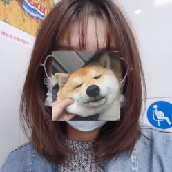 -蚂蚁造型沙龙