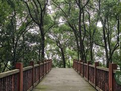 -南山植物园