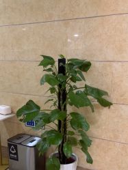 -重庆军科整形美容医院