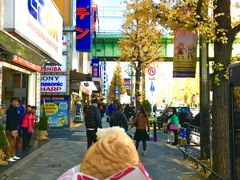 -秋叶原电器街