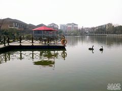 2011-03-10_12-37-32-杭州世外桃源君澜度假酒店