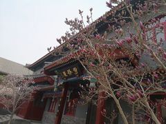 -天津大悲禅院