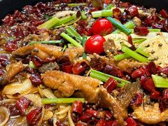 -老板恋上鱼(恒隆广场店)