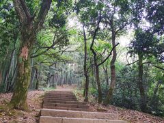 -西湖风景区十里琅珰-五云山