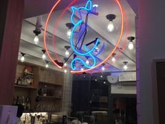 -滚猫咖啡·猫咖·猫友好撸猫(未来城店)