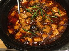 麻婆豆腐-辛香汇·现炒川菜(淮海路百盛店)