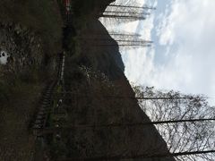 iphone_upload_pic-宁海森林温泉