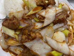 葱爆羊肉盖饭-清真素福拉面丝路美食(六里桥东店)