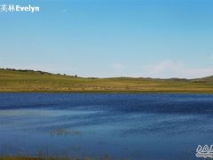 -塞罕坝国家级自然保护区