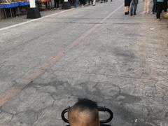 -大湾区中央湿地公园-十九涌