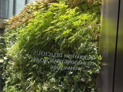 -巴厘龙虾·榜首油焖大虾(洞庭·艺术洋房店)