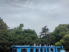 -上海滨江森林公园