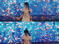 景点-成都浩海立方海洋公园