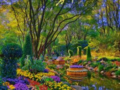 -上海共青森林公园