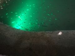 -宝丽金大酒店·洗浴中心