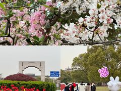 -上海交通大学(闵行校区)