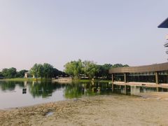 -上海佘山世茂艾美酒店