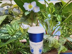 -CHARLIETOWN红茶公司(南京万象天地店)