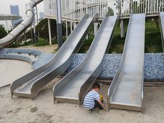 -桂溪生态公园