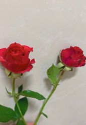 -Oasis Beauty水磨坊科技美肤中心