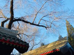 -元大都城垣遗址公园