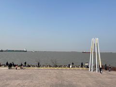-上海滨江森林公园
