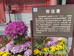 -香山公园