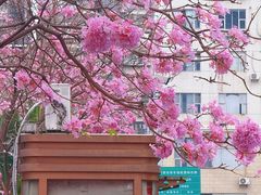 -1点点(清湖地铁店)