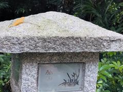 -广州兰圃