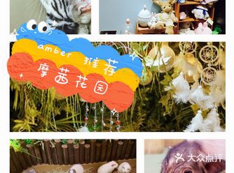 体验摩茜花园宠物主题亲子体验馆