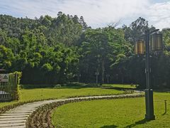 -顺峰山公园