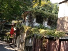 -北极阁公园