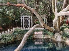 -蝴蝶泉公园
