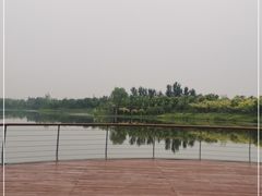 -东郊湿地公园