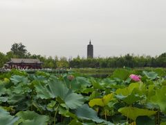 -西海子公园
