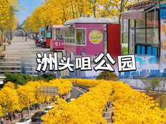 -洲头咀公园