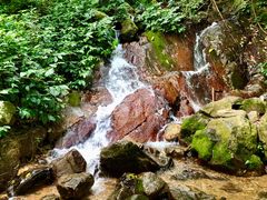 -梧桐山风景名胜区