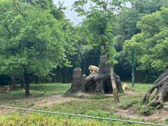 -杭州野生动物世界