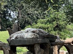 -北京野生动物园