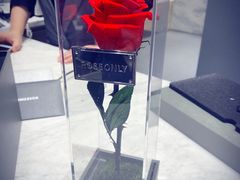 -ROSEONLY诺誓(青岛万象城店)