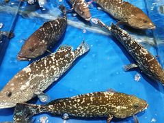 -三亚火车头万人海鲜广场