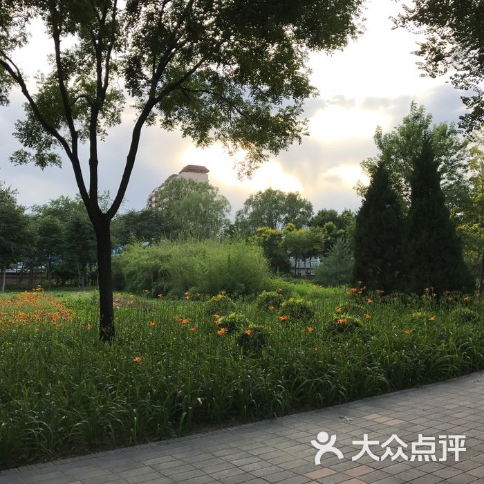 北京北极寺公园图片