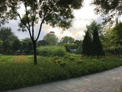 -北极寺公园