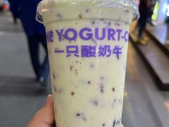 -一只酸奶牛(八一路店)